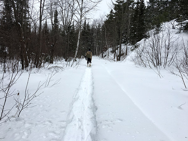 man snowshoeing down a path in a forest