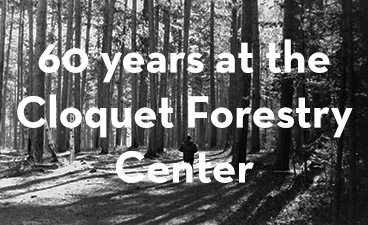 black and white photo of the forest with text overlay of "60 years at the Cloquet Forestry Center"