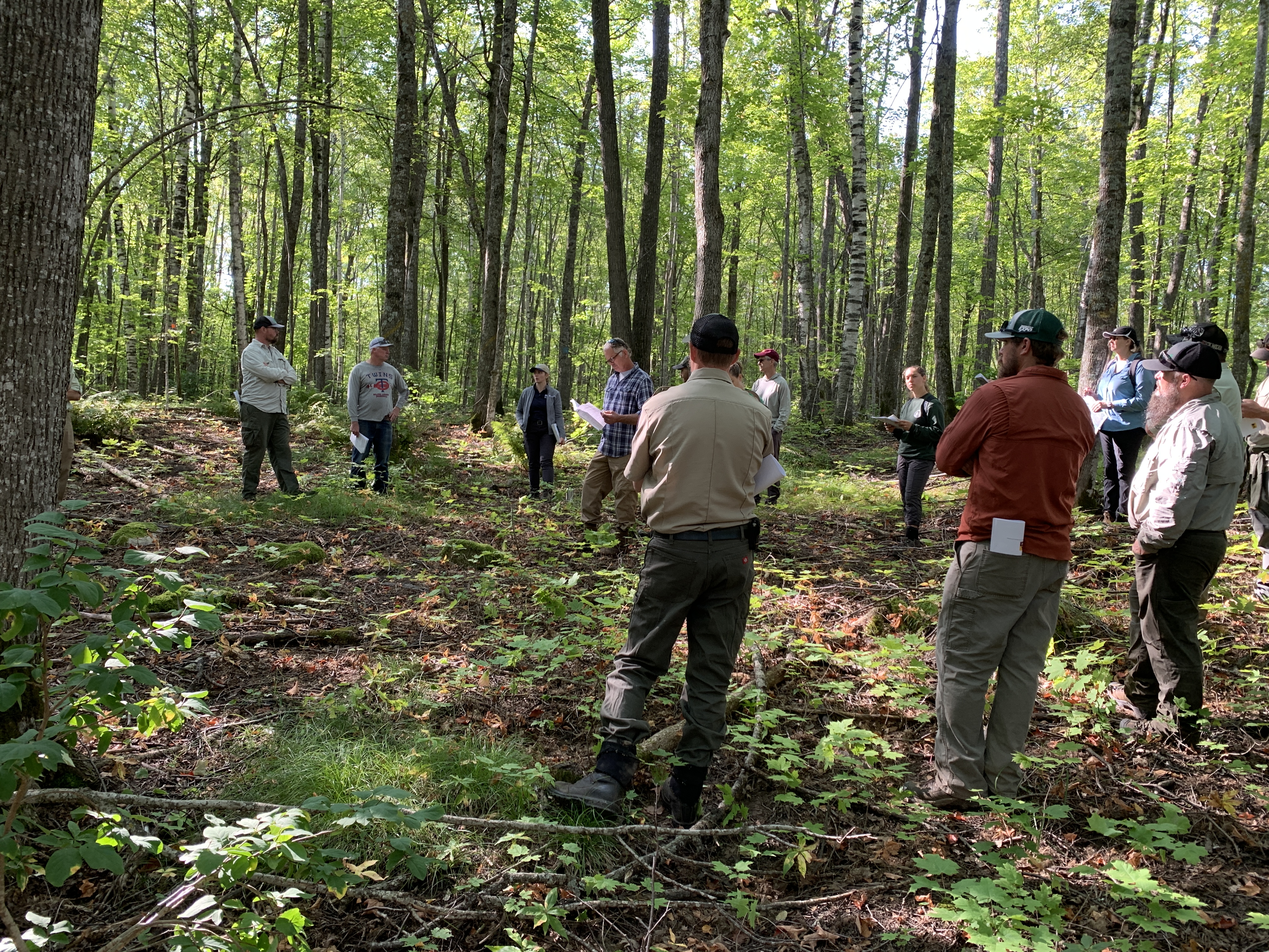 land managers discuss timber harvesting in a forest